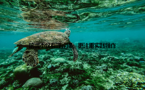 培训不仅有理论课, 更注重实践操作