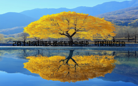 2寄生虫病如锚头蚤或车轮虫感染, 可使用敌百虫或硫酸铜溶液浸泡治疗, 但需严格控制剂量, 以免影响鱼体健康