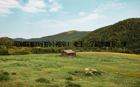 可别踩着我们的小祖宗! 老王一个箭步蹲下, 像捧宝贝似地托起那只青灰色的小家伙——这就是我见证的第一只大闸蟹生命旅程的起点