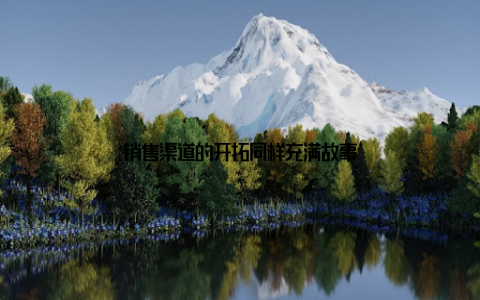 销售渠道的开拓同样充满故事