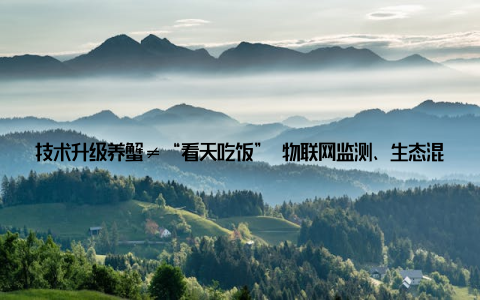 技术升级养蟹≠“看天吃饭” 物联网监测、生态混养等新技术让养殖成功率提升40%, 年轻人用手机就能远程管理蟹塘