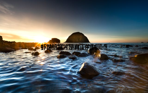 虾苗培育才是真正的利润点