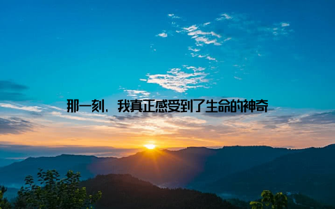 那一刻, 我真正感受到了生命的神奇