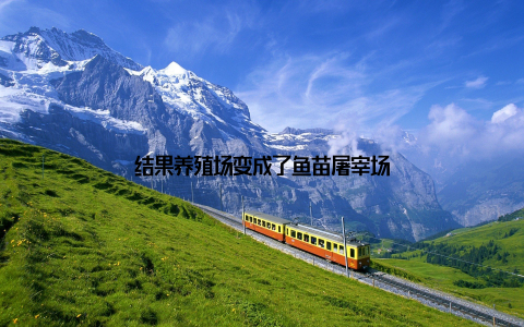 结果养殖场变成了鱼苗屠宰场