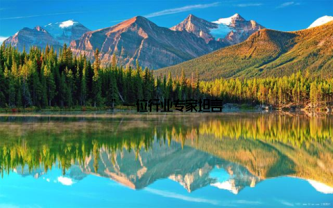 ”一位行业专家坦言