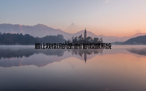 最让我惊讶的是他们的投喂系统