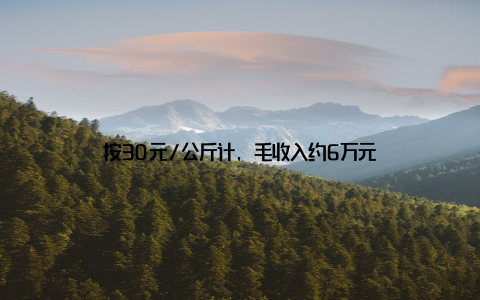 按30元/公斤计, 毛收入约6万元