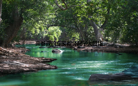 来参观的专家都竖起了大拇指