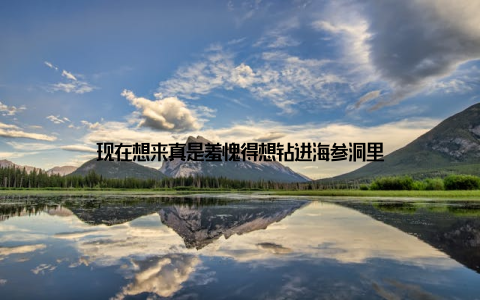 现在想来真是羞愧得想钻进海参洞里