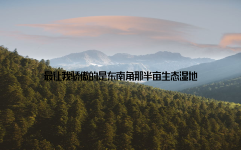 最让我骄傲的是东南角那半亩生态湿地