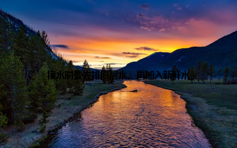 换水时要先排底层水, 再加入新鲜水