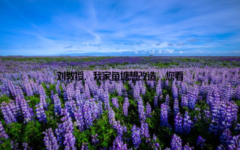 刘教授, 我家鱼塘想改造, 您看