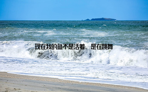 现在我的鱼不是活着, 是在跳舞