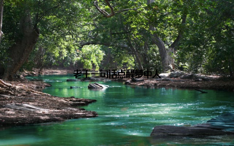 老王一句话点醒梦中人