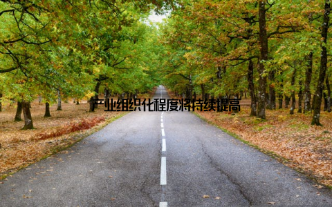 产业组织化程度将持续提高