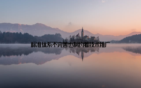 标准体系不完善也制约着技术推广