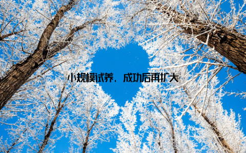 小规模试养, 成功后再扩大