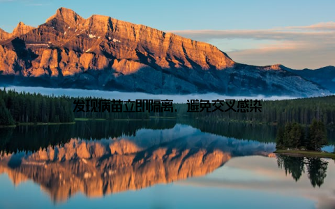 发现病苗立即隔离, 避免交叉感染