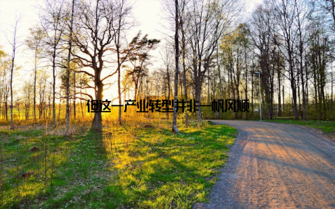 但这一产业转型并非一帆风顺