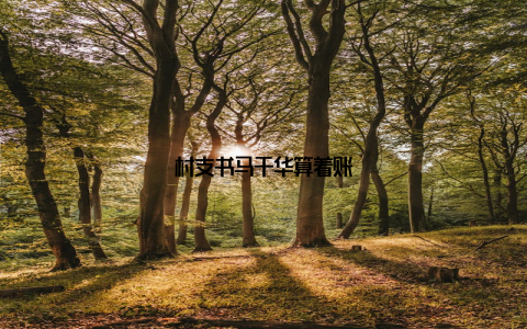 村支书马于华算着账