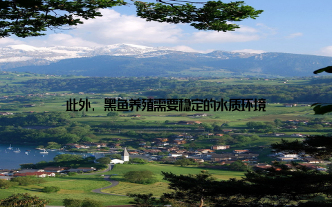 此外, 黑鱼养殖需要稳定的水质环境