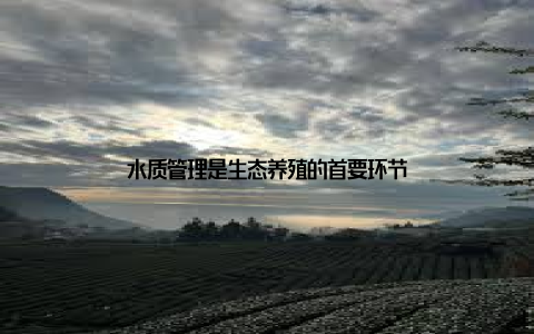 水质管理是生态养殖的首要环节