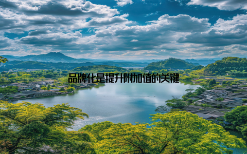 品牌化是提升附加值的关键