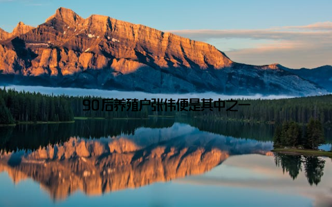 90后养殖户张伟便是其中之一