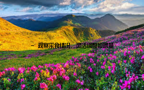 - 观察采食情况, 灵活调整投喂量