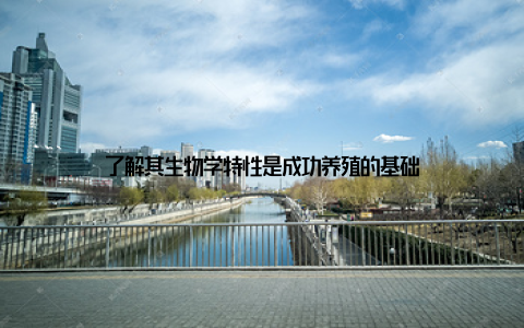 了解其生物学特性是成功养殖的基础