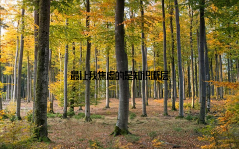 最让我焦虑的是知识断层