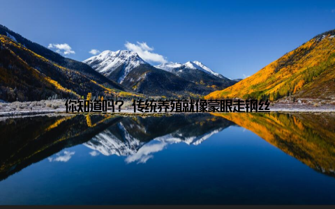 你知道吗? 传统养殖就像蒙眼走钢丝