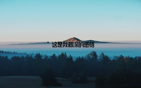 ”这是我最深的感悟