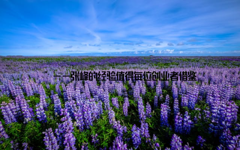 ”——张峰的经验值得每位创业者借鉴