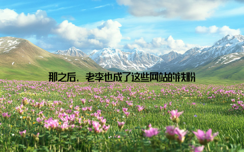 那之后, 老李也成了这些网站的铁粉