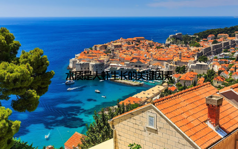 水质是大虾生长的关键因素