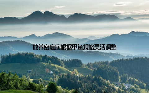 放养密度应根据甲鱼规格灵活调整