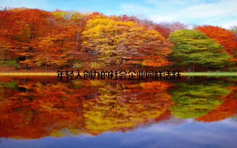 年轻人创办的社会企业同样活跃