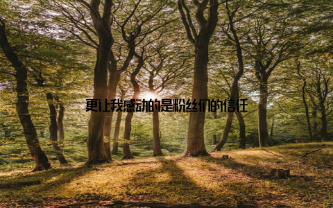 更让我感动的是粉丝们的信任