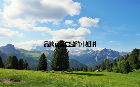 品牌运营总监陈小姐说