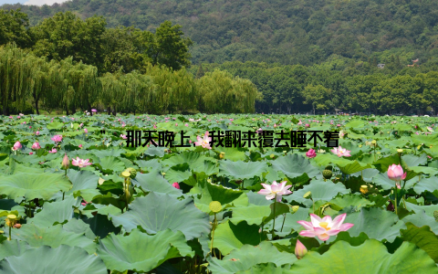 ” 那天晚上, 我翻来覆去睡不着