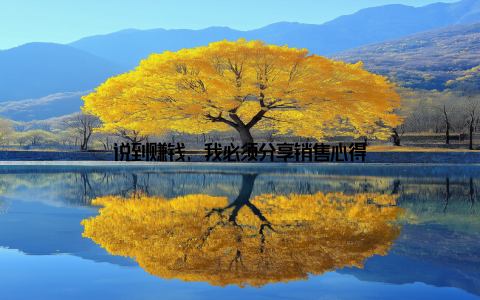 说到赚钱, 我必须分享销售心得