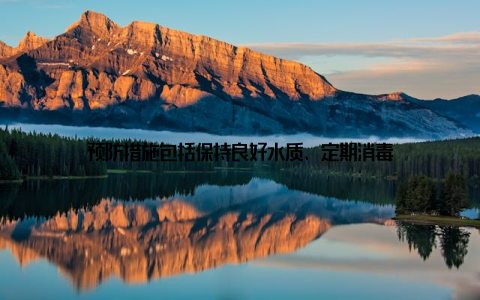 预防措施包括保持良好水质、定期消毒