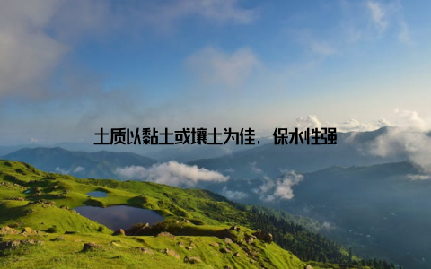 土质以黏土或壤土为佳, 保水性强