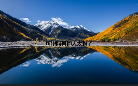 可说服其他人太难了