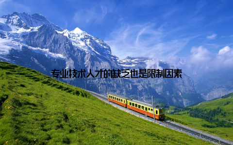 专业技术人才的缺乏也是限制因素