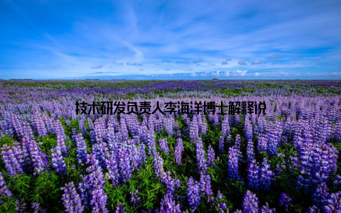 技术研发负责人李海洋博士解释说