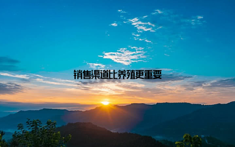 销售渠道比养殖更重要