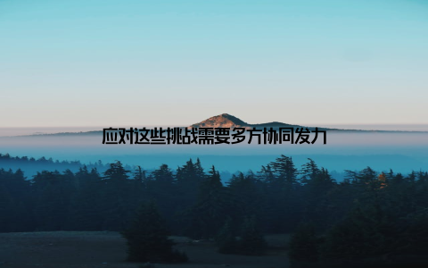 应对这些挑战需要多方协同发力