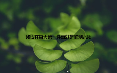 我现在每天第一件事就是检测水质